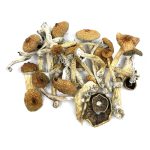 Blue Meanie magic mushroom