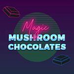 magic mushrooms chocolate