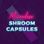 microdose shrooms capsules