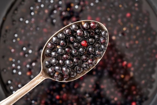 Elderberry Syrup 100% Natural with Organic Ingredients - Image 5