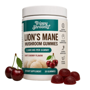 Tart Cherry Lion's Mane Mushroom Gummies for sale online