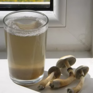 Mushroom Tea