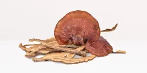 Dried Reishi Magic Mushroom