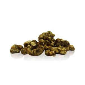 Psilocybe Galindoii Magic Truffles