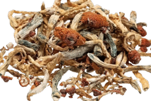 Buy magic mushrooms online