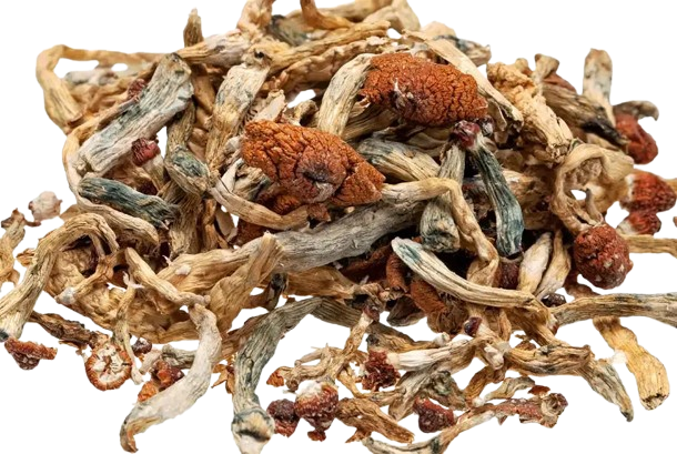 Buy magic mushrooms online