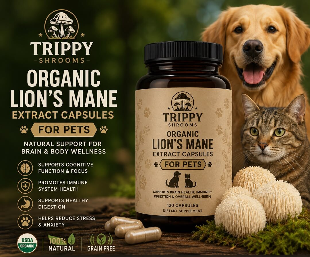ORGANIC LION'S MANE EXTRACT CAPSULES FOR PETS